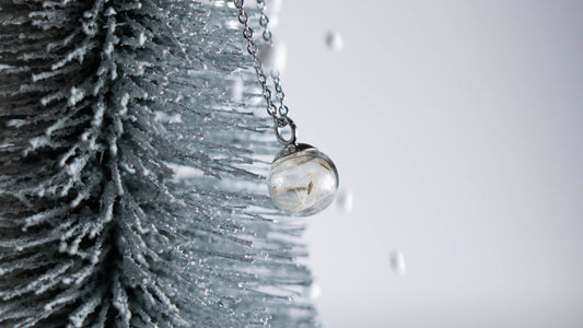 🎄 Natale Botanico 2025: la luce delle emozioni autentiche