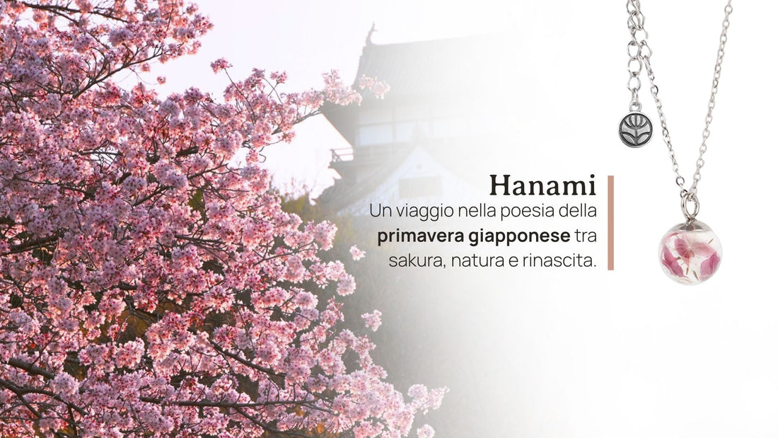 Hanami: quando i ciliegi in fiore raccontano la primavera