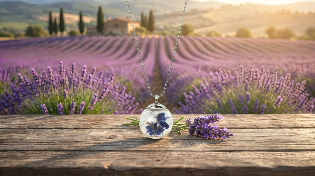 Lavanda - Il Profumo della Calma e dei Ricordi