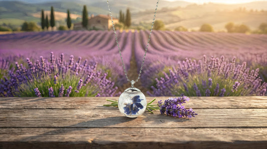 Lavanda - Il Profumo della Calma e dei Ricordi