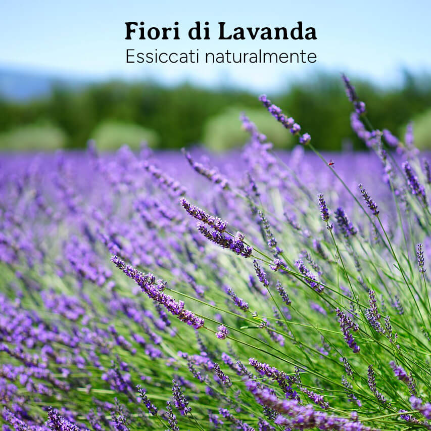 Orecchini Lavanda